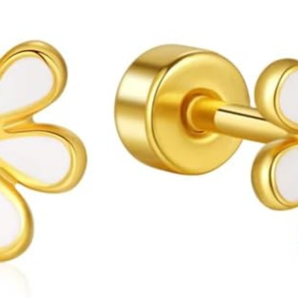Titanium Earrings,Hypoallergenic Earrings for Sensitive Ears,Pure Titanium Impla